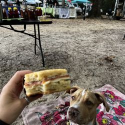Sea Island Farmers Market - Sandwich from Counter Culture Cheese