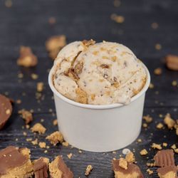 The Hollywood Ice Cream