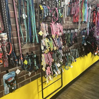 Wiggle Butt & Whiskers - Leashes - Pet Stores Near Me - Leesburg, Virginia