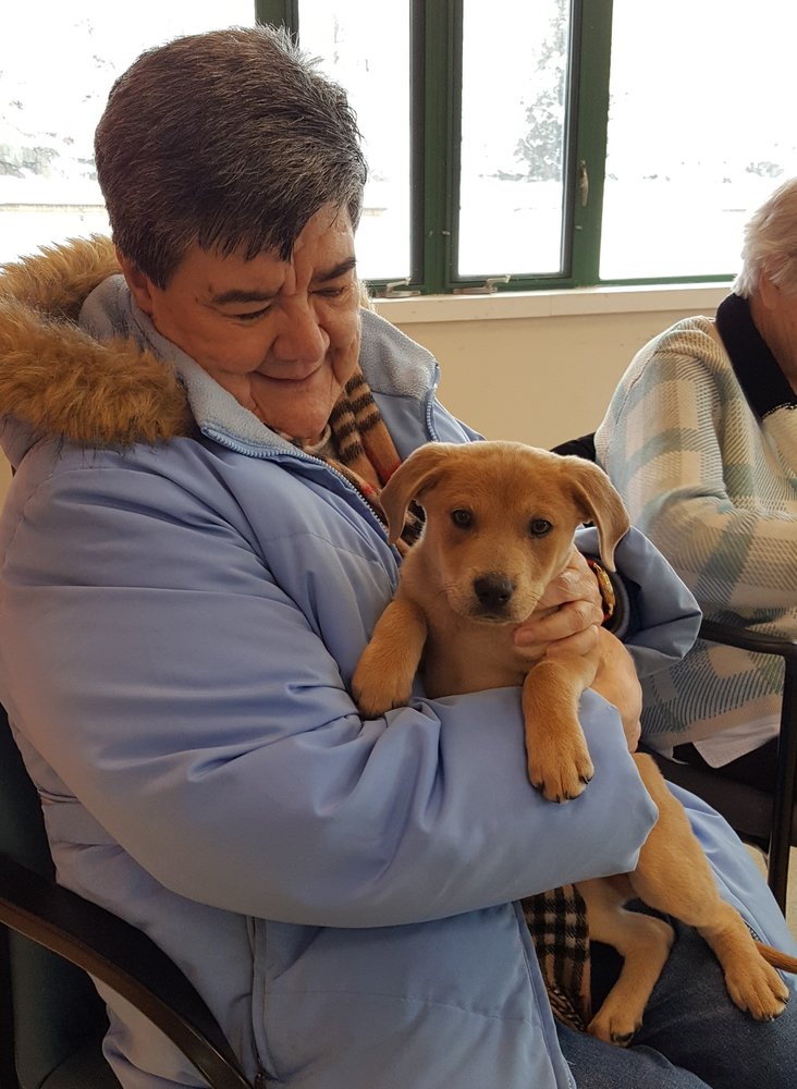 THE ARBORS ASSISTED LIVING OF STONEHAM 140 Franklin St, Stoneham, Massachusetts Assisted