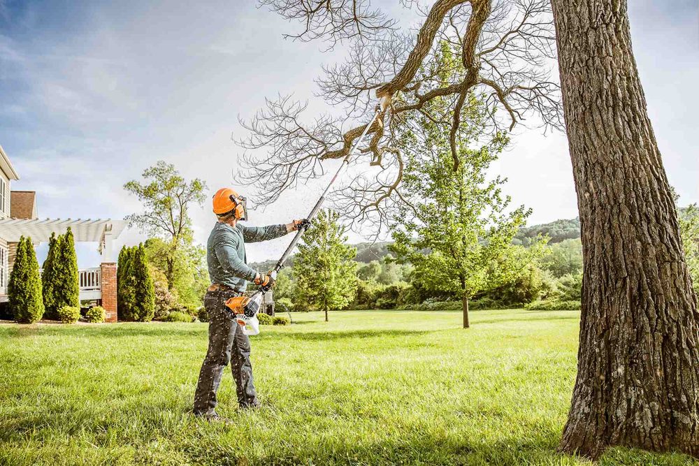 Saints Handyman & Tree Service - tree service in Las Vegas, NV