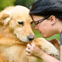 Photo of Mercy Animal Hospice & In Home Pet Euthanasia