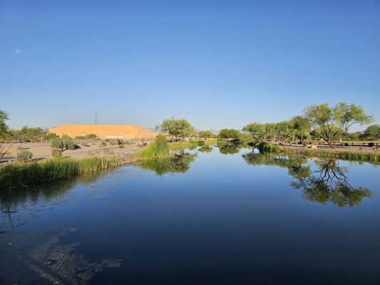 Sheraton Grand at Wild Horse Pass by null
