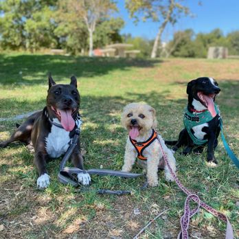 Highland Bark - Good buddies on a good day! - Dog Walkers Near Me