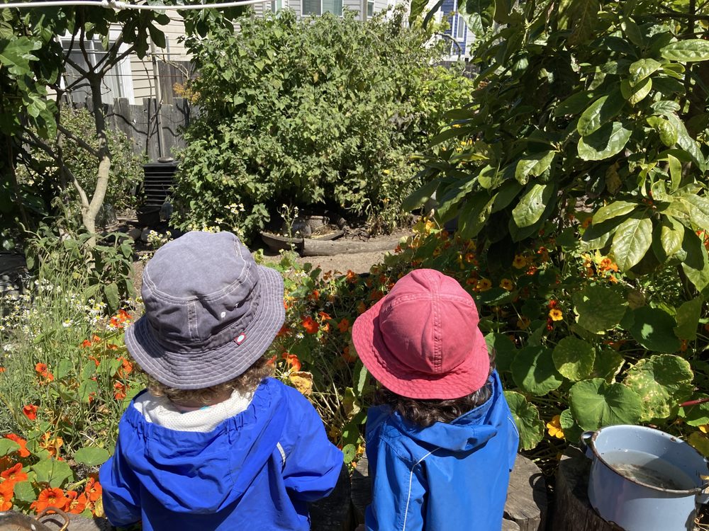 Children's Sunflower House & Garden - childcare center in San Francisco, CA