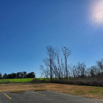 Handi-Mart 7 - a parking lot with trees in the background - Convenience Stores Near Me - Grand Ridge, Florida