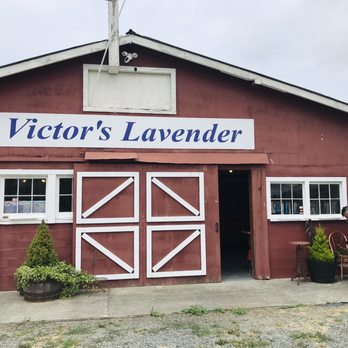 Victor’s Lavender Farm - Farms Near Me - Sequim, Washington
