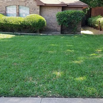 The Grass Outlet - Irrigation Near Me - Austin, Texas The Grass Outlet - Irrigation Near Me - Austin, Texas