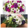 Photo of Shays Flowers