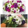 Shays Flowers gift card