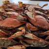 Endurance Seafood gift card