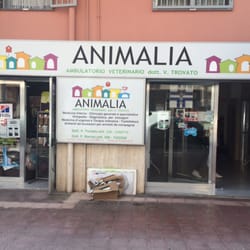 Animalia - Entrata dell'ambulatorio con i numeri di telefono dei veterinari
