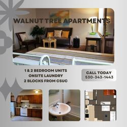 CY Property Management