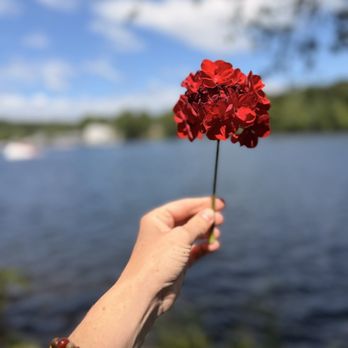 Pickering House Inn - Renewed Life for a downed Hydrangea - Hotels Near Me - Wolfeboro, New Hampshire Pickering House Inn - Renewed Life for a downed Hydrangea - Hotels Near Me - Wolfeboro, New Hampshire