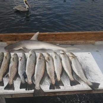Optimus Fishing Charters - Limit of Trout - Fishing Near Me - Ruskin, Florida