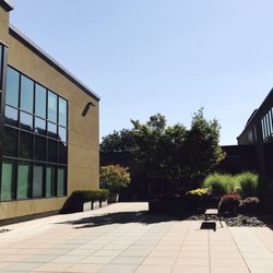 BELLEVUE PRIMARY CARE visual data 7