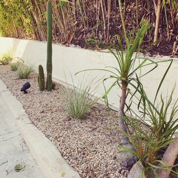 Green Grounds Landscape Services - Side of the driveway with nice rocks and up lights. - Landscaping Near Me - Los Angeles, California