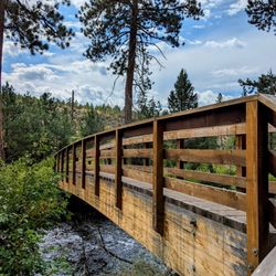 Shevlin Park