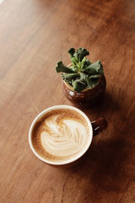 Wallflower Coffee Company by null