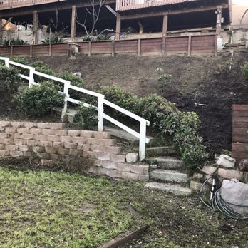 Inexpensive Tree Services - Juan found them! - Tree Services Near Me - Los Angeles, California