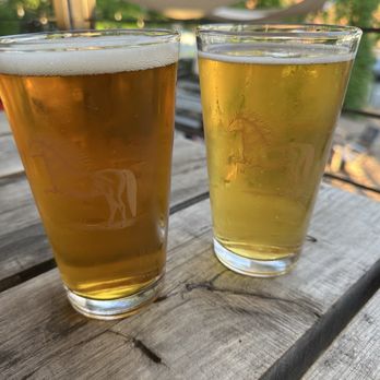 Ponysaurus Brewing Co - We bought glasses to take back with us to KY. - Breweries Near Me - Durham, North Carolina