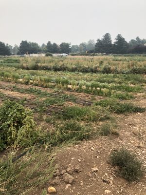 Reno Food Systems by null
