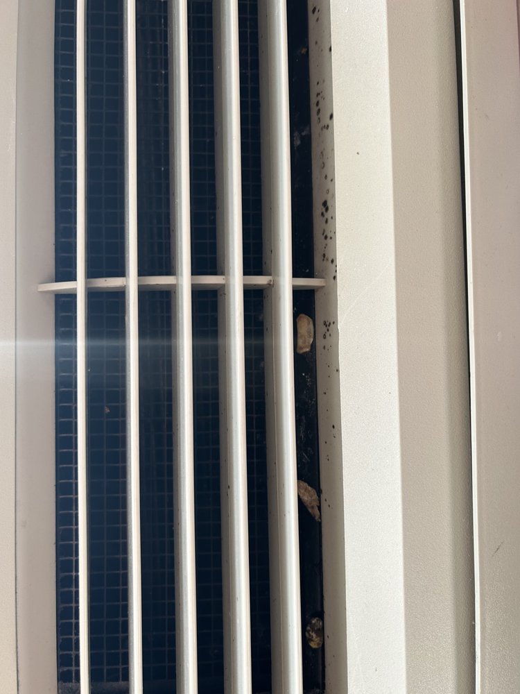 MEDILODGE OF TAYLOR Updated November 2024 16 Reviews 23600