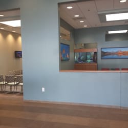 Austin Diagnostic Clinic - Steiner Ranch - Waiting area