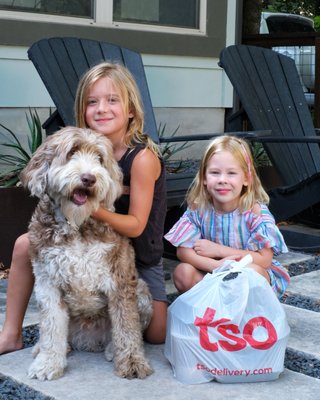 Tso Chinese Takeout & Delivery by null