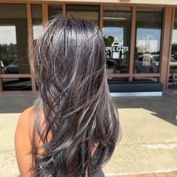 Apex Cuts and Color - Cut and Color by Sebastian!