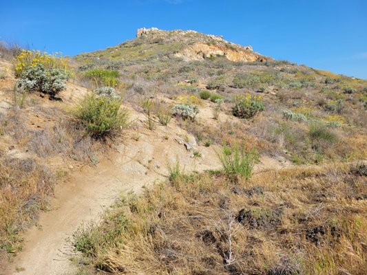 Sycamore Canyon Wilderness Park by null