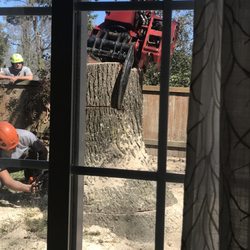 user provided Alley's Tree Service photo