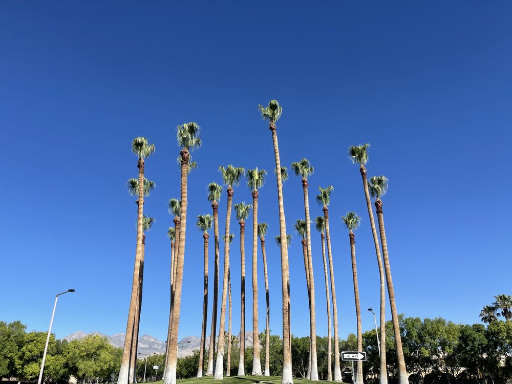 Natures Personal Landscaping - tree service in Las Vegas, NV
