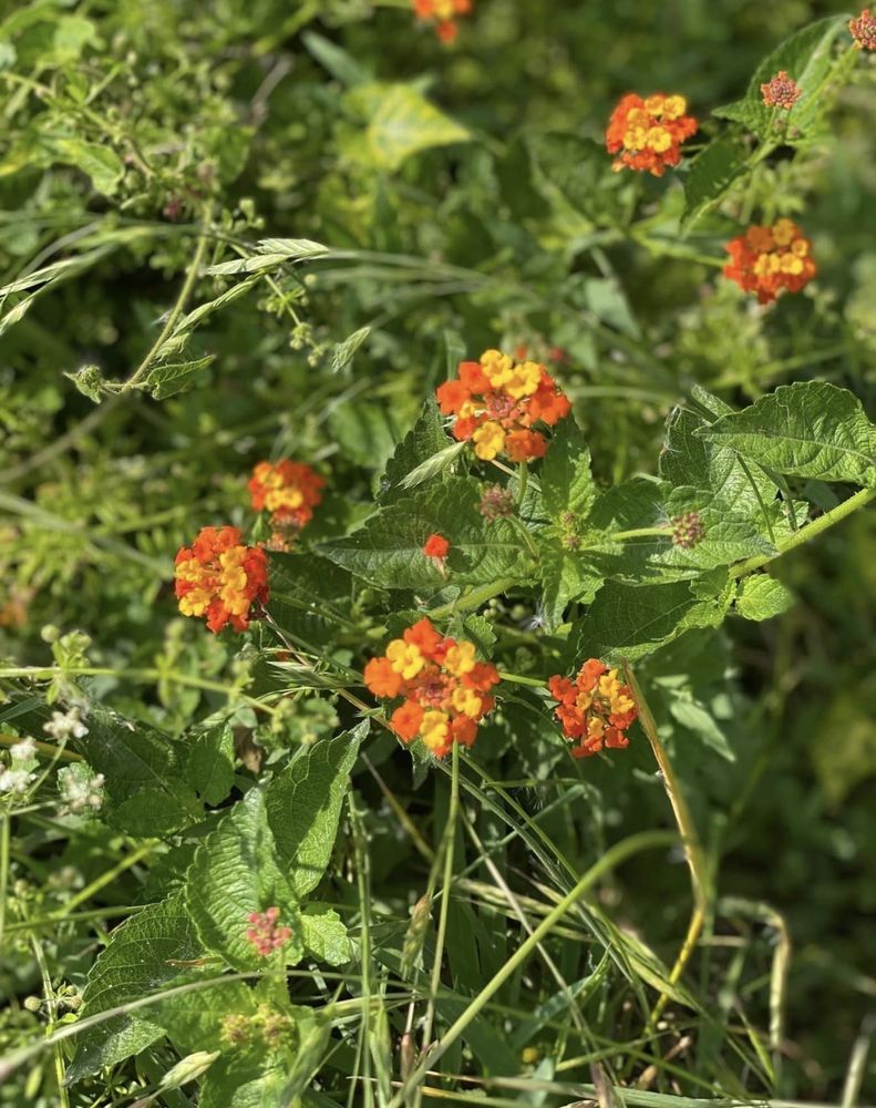 THE RIVER HAVEN Updated September 2024 48 Photos 460 River Dr