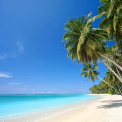 Sun Coast Cleaning & Restoration