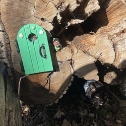 Tassajara Creek Regional Park - A cute hidden surprise on the trail