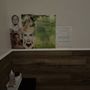 All Seasons Spa