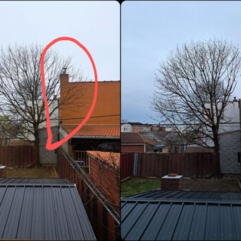 Juniper Tree Care - Before and after! Job done to perfection! - Tree Services Near Me