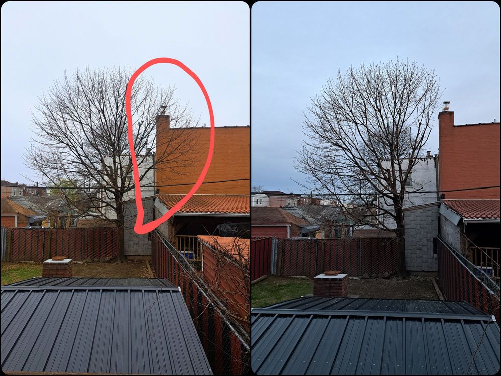 Juniper Tree Care - tree service in Brooklyn, NY