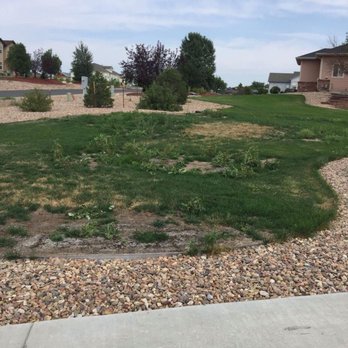 Saela Pest Control - Pest Control Near Me - Northglenn, Colorado Saela Pest Control - Pest Control Near Me - Northglenn, Colorado