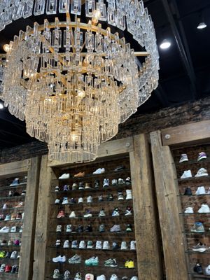 Sneaker Politics by null