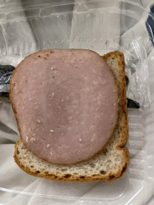 Methodist Hospital by null