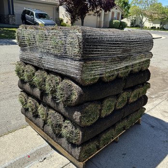 IP Landscape - Sod pallet - Landscaping Near Me