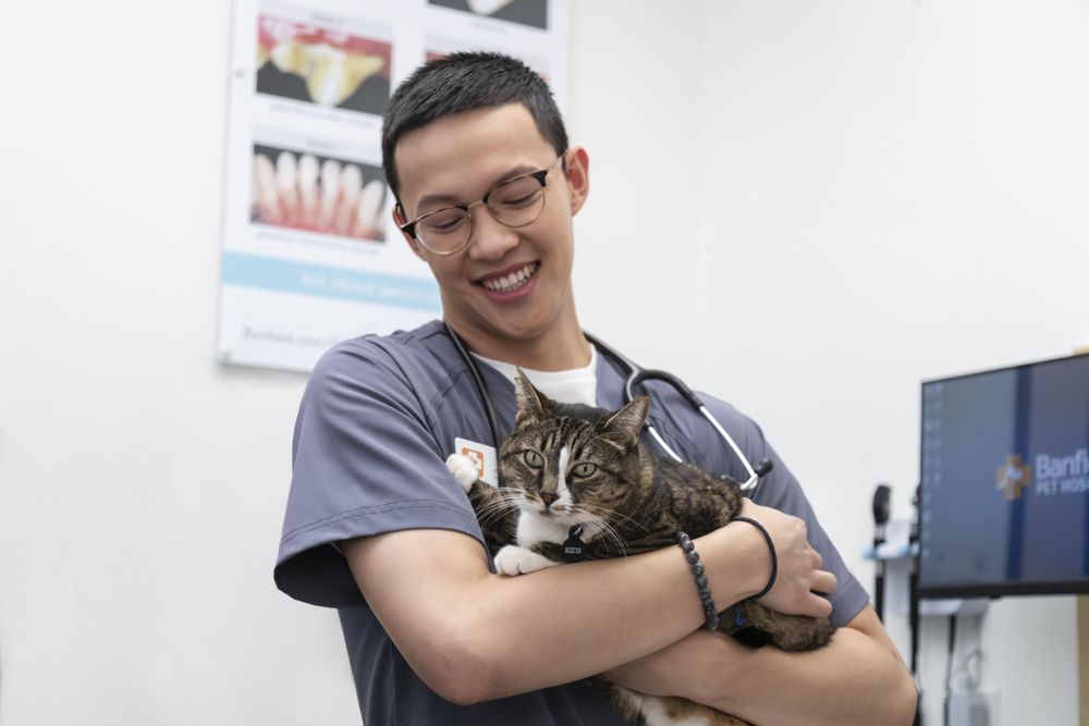 Banfield Pet Hospital Image