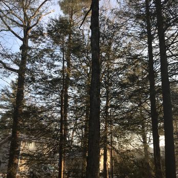 J Bonin Tree Services - Tree Services Near Me - Charlton, Massachusetts J Bonin Tree Services - Tree Services Near Me - Charlton, Massachusetts