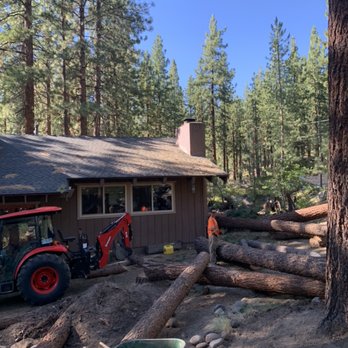 Sierra Timber Scape - Safely knocking them down! - Tree Services Near Me Sierra Timber Scape - Safely knocking them down! - Tree Services Near Me