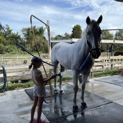 Spitfire Farm - Big shower area