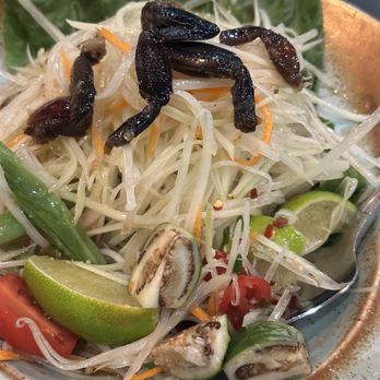 Siam Station - Jungle Papaya(Laos Style) - Thai Near Me - Irvine, California
