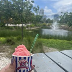 Uncle Louie G St pete - Cotton Candy Dairy-Free Italian Ice