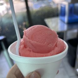 La Flor De Michoacan Homemade Ice Cream